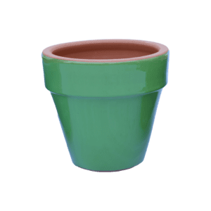 Alice Seramik Saksı